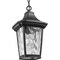 Progress Lighting Marquette Collection One-Light Hanging Lantern with DURASHIELD P550062-031 - alternate 3